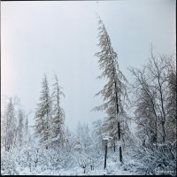 Север, 1987г. :: fototysa _