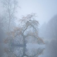 Туман на озере Комо. :: Тамара Листопад