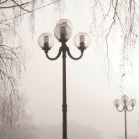 утренний туман :: Катерина Коленицкая