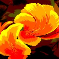 Вальс цветов :: Валерий Талашов