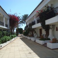 Отель Dessole Seti Sharm Resort.2 :: Светлана Шарафутдинова