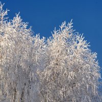 *** :: Анатолий Нестеров