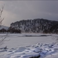 ... запах весны... :: Наталья Маркова