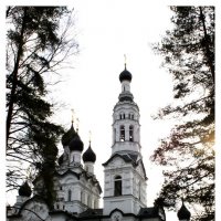 Церковь в Зеленогорске :: Дмитрий Рожков