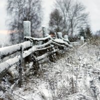 первый зимний день.. :: Svetlana Sauh