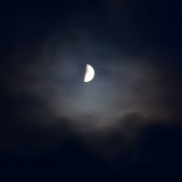 Луна :: Ольга Скляренко