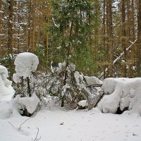 снежные скульптуры людей и животных :: Валерий. Талбутдинов.