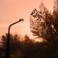 Одинокий фонарь на закате :: Зинаида Ермакова