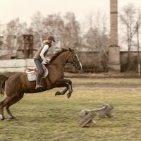 преодолевая пряпятствия :: Alexander Ivanov