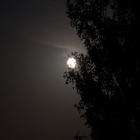 Луна :: Viktor Vishnevskiy