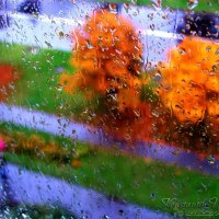 "Осень в моем окне." :: Константин Ушмаев