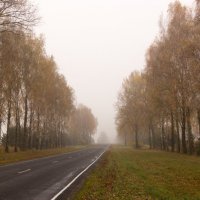 В туман :: Maxim Evmenenko
