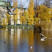 осень :: Алексей Кудрявцев