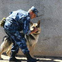 сканирование :: Ежи Сваровский