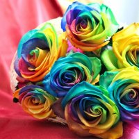 Радужные розы :: Yana Elistratova