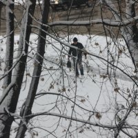 Первый снег :: Владимир Буравкин