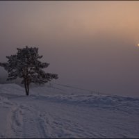 ... студеное утро... :: Наталья Маркова