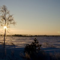 Зима :: Андрей Чиченин
