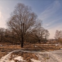 *** :: Сергей Котусов