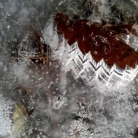 Послндний лед :: Светлана Марасанова