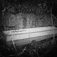 полузатонувший гроб в лесной канаве :: dar he drone 