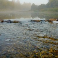 Утро на реке Кихть :: Валерий Талашов
