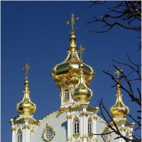 Купола Петродворца ***Domes Peterhof :: Александр Борисов