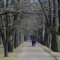 Царское Село. Весенняя прогулка :: Юрий Цыплятников