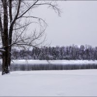 ... несет свои воды река... :: Наталья Маркова