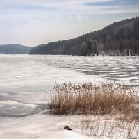 Карелия :: Василий Соколов