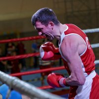 Бокс в лицах. :: Сергей Андреев