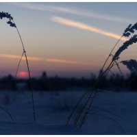 Лесотундра. Закат... :: Анатолий Замыслов