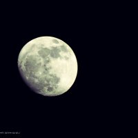 Луна :: Владимир Самышев