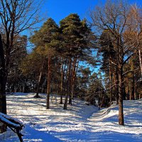 Стригино.Н.Новгород. ( Февраль ) :: Александр Зотов