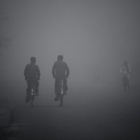 дорога в тумане :: Светлана Фомина