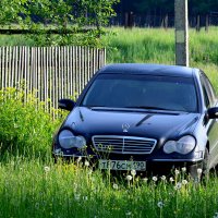 Вне асфальта / Мерс в одуванчиках :: NICKIII Михаил Г.