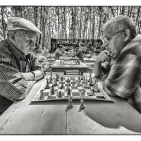 шахматный турнир :: Сергей Демянюк