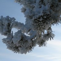 Зима :: Толя Толубеев