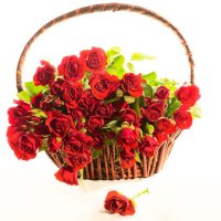 Basket of Roses :: Сергей Сухарников
