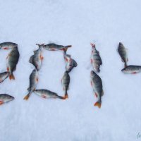 Первая рыбалка в новом году :: Евгений Софронов
