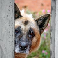 Провожает... :: Юрий Савинский