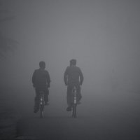 дорога в тумане :: Светлана Фомина