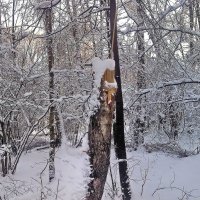 Зима. :: Владимир Кочетков