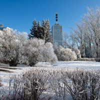 Звонкий мартовский день в Архангельске :: Алёна Михеева