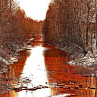 Рыжая река течет из далека... :: Александр Зотов
