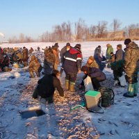 Рыболовный клондайк :: Евгений Софронов