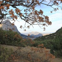 Осень в Крыму. :: Светлана Калинина