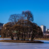 Островок :: Виктор Перевозников