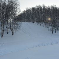 Просека :: Александра Губина