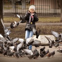 Летите голуби - летите... :: Андрей Шейко